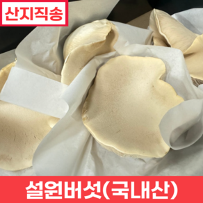 [품질보장] 산지직송 못난이 무농약 설원버섯 황제버섯 사이즈 랜덤 (원산지 국내산), 1박스, 1kg