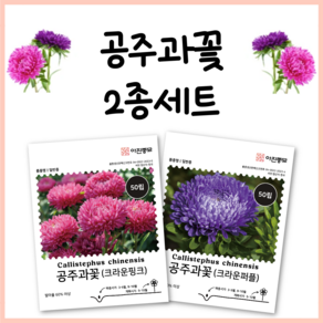 공주과꽃씨앗 2종세트 퍼플 핑크 종자 씨 보라색 핑크색 꽃 과꽃 종자 꽃씨앗 몰, 1개