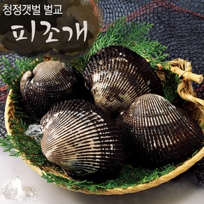 보성 벌교여자만 피꼬막 2kg (상품)/산지직송