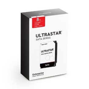 웨스턴디지털 Ultasta DC HC320 HDD