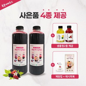 프리미엄 고창산 토종 복분자 생발효엑기스 900mlX2병, 2개