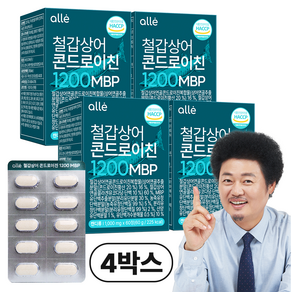 철갑상어 연골 콘드로이친 1200 MBP 식약청 HACCP 알레, 4개, 60정