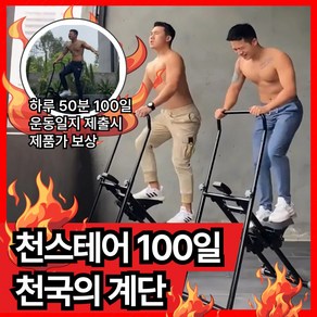 천스테어 멀티 천국의계단 홈트 운동기구 계단운동기구 머신 다이어트기구 유산소 머신 조용한 레터럴레이즈 어꺠운동