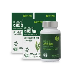 힐링 간편한 감태, 120정, 72g, 3개