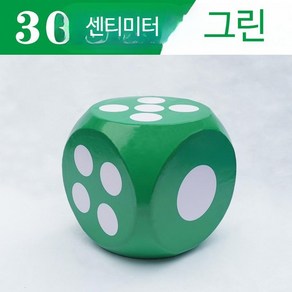 돌림판 룰렛 게임 추첨기 복불복 대형 주사위 술자리, F_30cm 그린, 1개