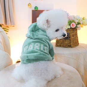 Pet clothes dog autumn and winte plush coat wam than bea clothes geen Pais coat, 1개