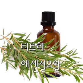 허니솝 티트리 아로마 에센셜오일, 티트리 에센셜오일 10ml, 1개