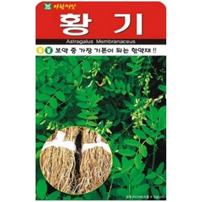 황기 씨앗 300립 아람, 3개