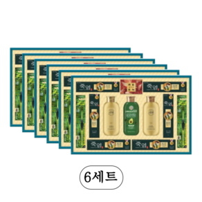 엘지생활건강 진심담은 특1호 6개 명절 선물세트 (1box), 6세트