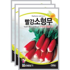 세계종묘 빨강소형무 500립, 3개