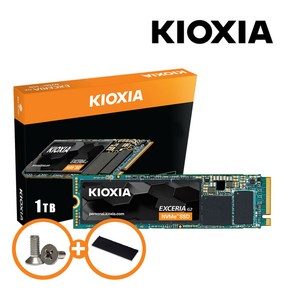 키오시아 EXCERIA G2 M.2 NVMeTM SSD + NVMe 방열판