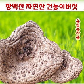 건능이버섯 장백산 자연산 건조 말린 햇능이버섯, 1개, 장백산 건능이 A급 100g