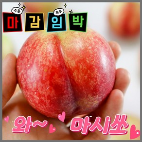 [마시쏘] (절찬예약중) 산지직송 당일수확 고당도 프리미엄 여름 과일 신비 복숭아, 1개, 소과 1kg