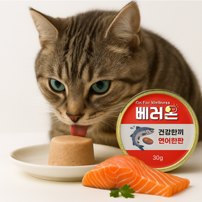 베러온 고양이 습식사료 미니캔 프리미엄 주식캔, 30g, 12개, 가수분해연어