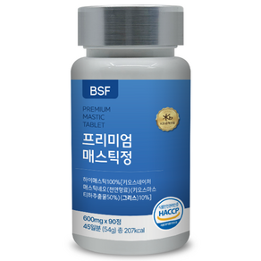 BSF 프리미엄 매스틱정 600mg x 90정