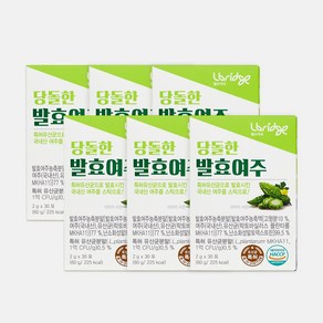 당돌한 발효 여주 30포 6박스, 60g