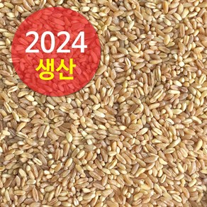 수입 호라산밀 20kg (2024년산), 1개