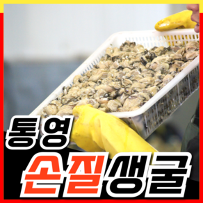 국산 통영 생굴 500g 1kg 횟감 용 굴 깐굴 대 삼배체 석화 하프셀, 1개, 1kg 내외