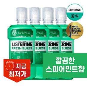 리스테린 후레쉬 버스트 구강청결제, 750ml, 4개