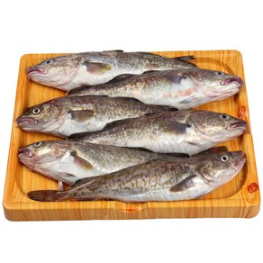 주문진 생대구(급냉) 2kg (4미내외)