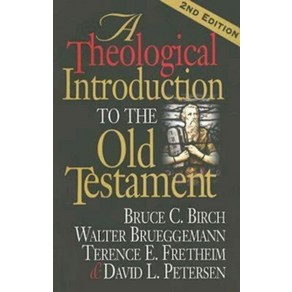 A Theological Intoduction to the Old Testament: 2nd Edition Papeback, Abingdon Pess, English, 9780687066766