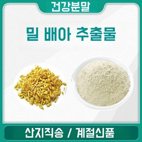 영진 밀 배아 추출물, 10:1, 1개, 200g