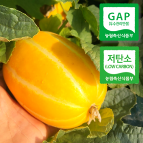 과일촌아재 저탄소 GAP 인증 성주 꿀 참외, 1박스, 못난이 혼합과 3kg