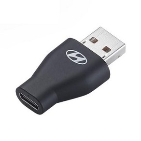 데이터/충전 A to USB-C 젠더(어댑터) 현대자동차와 호환, 1개