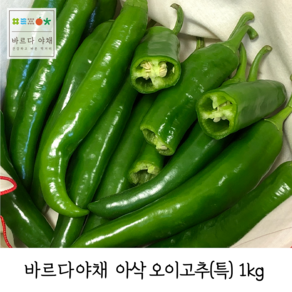 바르다야채 국내산 오이고추 아삭고추 (특), 1개, 1kg