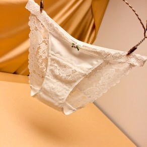 여성용 레이스 시스루 펀칭 삼각 팬티 Women's Underpants 뉴타임즈 D521J895