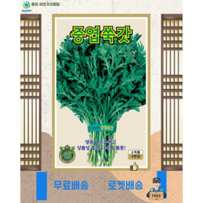 중엽쑥갓 씨앗 (4000립) 쑥갓 종묘 종자 씨 데이지, 1개