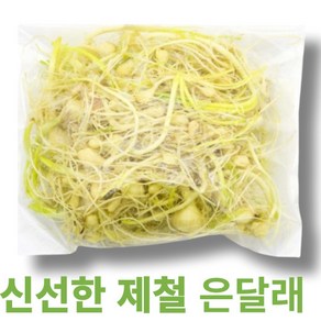 신선한 제철 (생)은달래 봄나물 입맛돋구는 반찬 달래영양 달래효능 달래무침 봄철메뉴, 1개, 200g