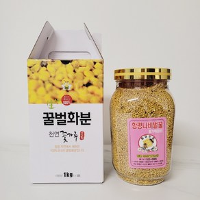 함평청정꿀 꽃가루 화분 꿀벌화분 벌화분 비폴렌 500g 산지직송, 1개