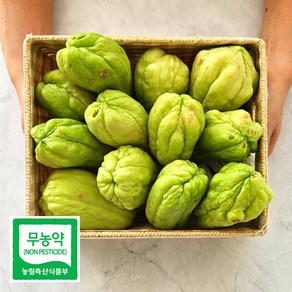 무농약인증 아삭아삭 경북 상주 햇 차요테 못난이, 1박스, 1kg