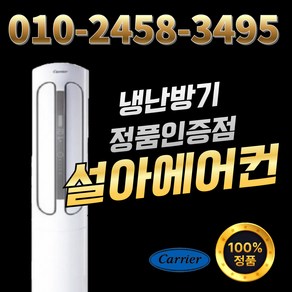 캐리어 스탠드 냉난방기 인버터 냉온풍기 16평 DSQC161XAWWSD 실외기포함, 일반배관형