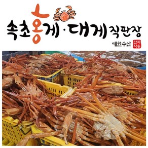 [속초 수율보장 홍게] 예원수산 제철홍게 라면용홍게 자숙(찜) 홍게택배, 생물(활) 박달홍게 3kg, 1박스