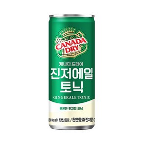 캐나다드라이 진저에일, 20개, 250ml