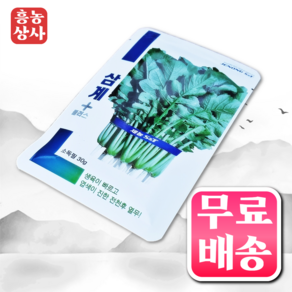 삼계플러스 고급 열무씨앗 30g 열무종자, 1개