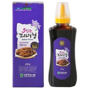 태백농협 5년근 도라지청 280g, 단품, 단품