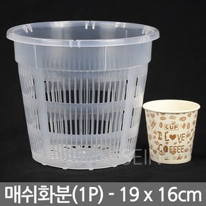 19x16cm 매쉬 투명 화분 19호 - 플라스틱 메쉬 플분 슬릿 난 분 식물 분재 삽목 통기 원형 난분 그물 다육 선인장 인테리어