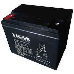 타이거 TG38-12 12v 38ah 전동휠체어 전동스쿠터배터리 (2개 1박스), 1세트