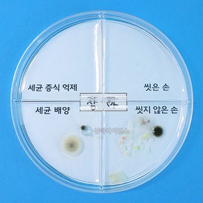 SA 세균 배양과 증식 억제 실험하기(1인용 포장) 손씻기 위생건강교육 박테리아 바이러스 화학반응실험