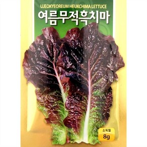 여름 흑치마 상추 씨앗 (8g), 1개