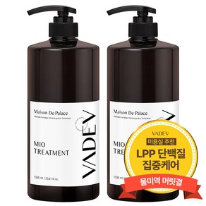 바디브 헤어 트리트먼트 1000ml 대용량 미용실 단백질 헤어팩 LPP 극손상 복구 손상모 메종드팰리스향, 2개