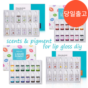 촉촉 립글로스 만들기 비건 천연 오일 향기 에센스 컬러 액체 Diy 10ml 12개