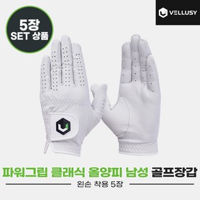 [벨루시정품]2023 벨루시 파워그립 클래식 남성(POWER GRIP CLASSIC) 양피 골프장갑[화이트][남성용왼손착용][5장묶음], 26호, 5개