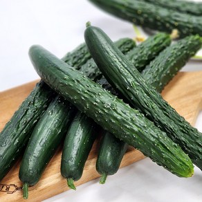 [울팜] 국내산 가시오이 청오이 생식용, 1개, 가시오이_2kg