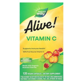 Natue's Way Alive!® 비타민C 500mg 베지 캡슐 120정(캡슐당 125mg), Natue's Way, Alive!®, 비타민C,, 1개, 120정