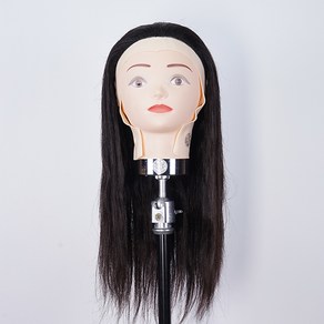 천혜사 전문가용 레귤러 고급커트 연습용 덧가발 46cm MTW-R, 혼합색상, 1개