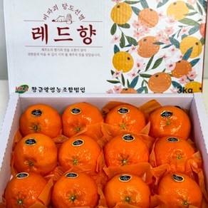 당도선별 고당도 레드향, 1개, 레드향 3KG(8~16과)